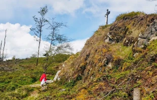 Fr. Peter Johnson celebrates Mass at Carrive Mass Rock in Armagh. ACN Ireland.